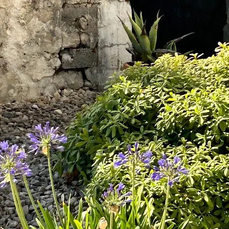 Casa de Férias - Le Clos Des Peres Monflanquin